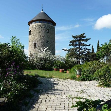 Au Moulin Geant Panzió Rochefort-sur-Loire Kültér fotó