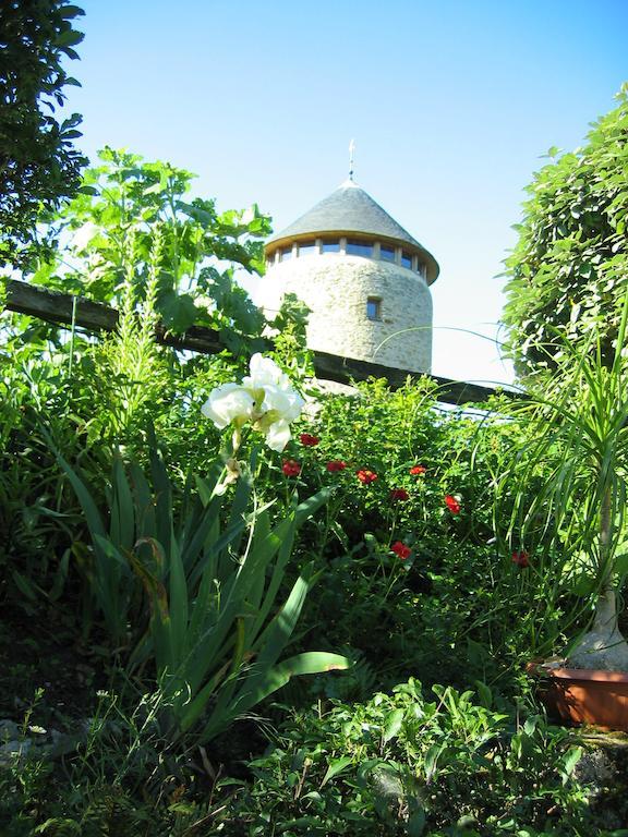 Au Moulin Geant Panzió Rochefort-sur-Loire Kültér fotó