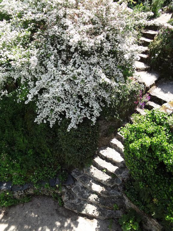 Au Moulin Geant Panzió Rochefort-sur-Loire Kültér fotó